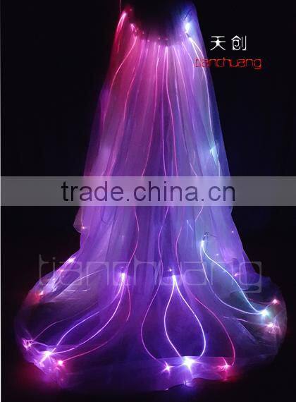 Remote Control Light Up Fairy Wings