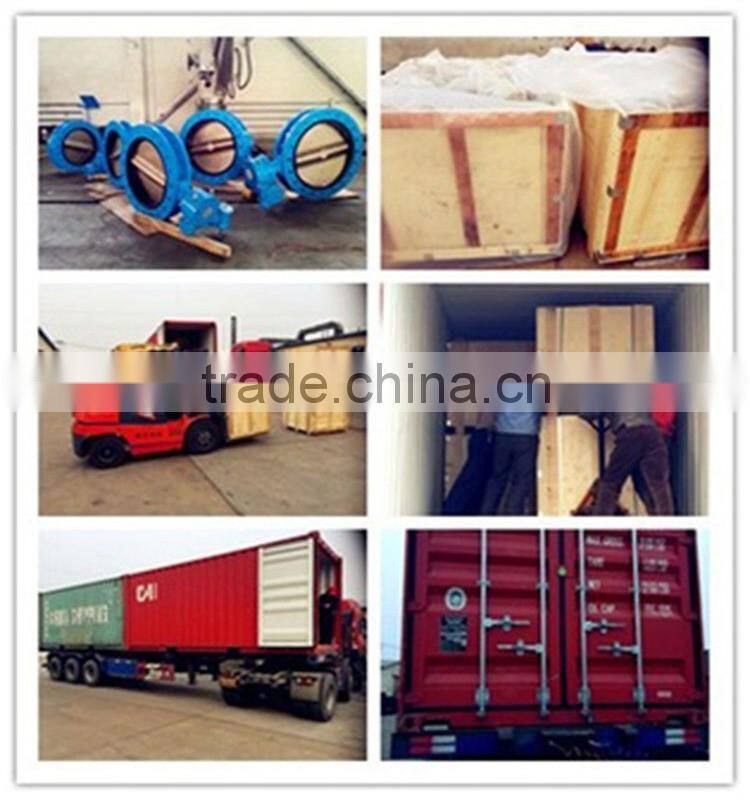 PVC Full Opening Swing Check Valve