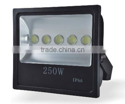 2016 Europe Outdor 250W IP66 Fashion design led Flood Light