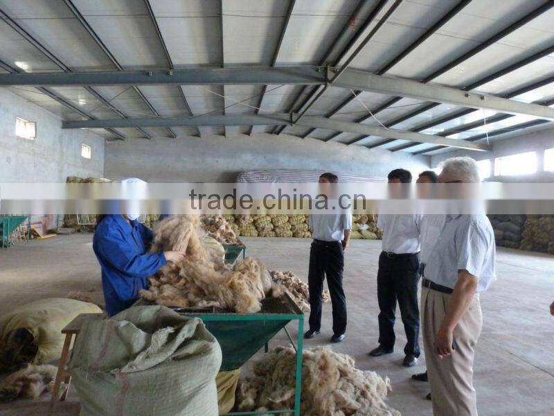 Dehaired camel hair from Alashan, Inner Mongolia