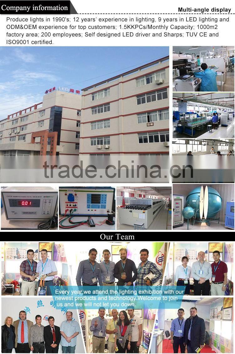 LED surface mounted epllise ceiling light