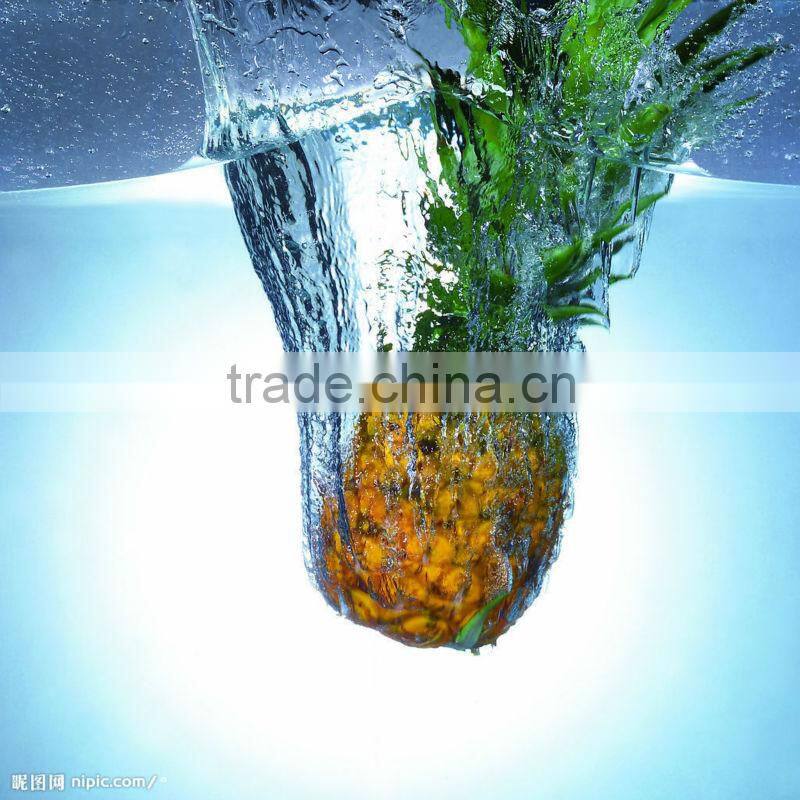 Canned Pineapple Pizza Cut