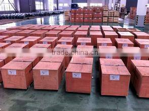 GUOMAO Cycloidal induction gear motor with reducer with good quality Hot sale