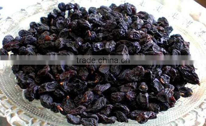 HIGH QUALITY INDUSTRIAL RAISIN