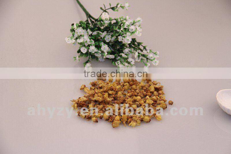 Wintersweet Flower Flos Mume