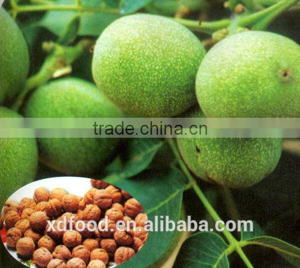 Shanxi Fenyang Mayifang Thin skin Walnuts in Shell,crushed walnut shells,black walnut shells,