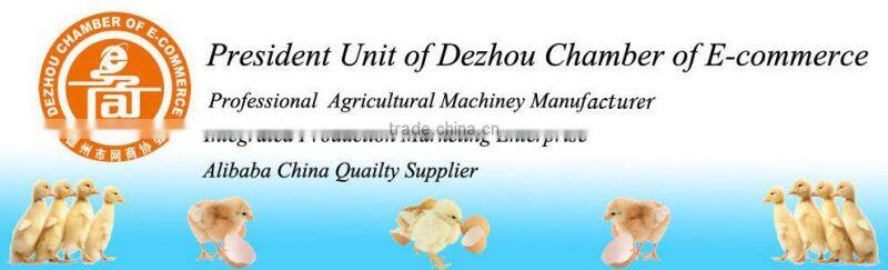 full automatic drinker for poultry/lower price /high quality
