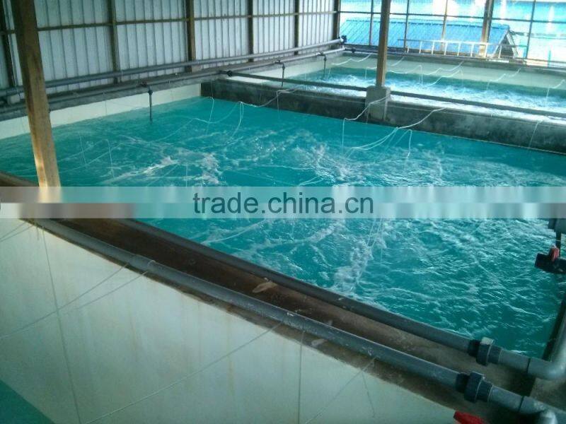 Special Design Pool Sand filter for Swimming Pool