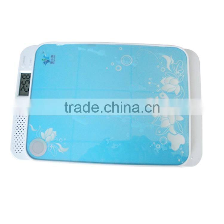 UV Ultraviolet Family Toothbrush Sanitizer Sterilizer Cleaner disinfector