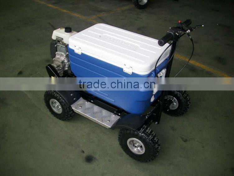 43cc EPA approved gasoline refrigerator scooter/cooler box scooter for adult (TKS-S43)