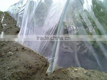 Exported agricultural perforated plastic film for tomato cover