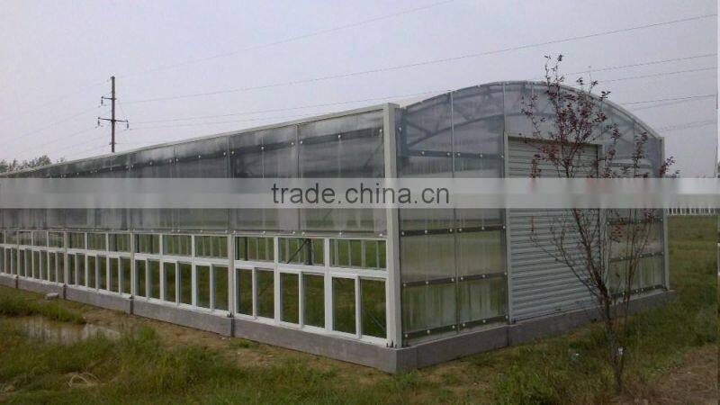Arch anti-freezing solar greenhouse