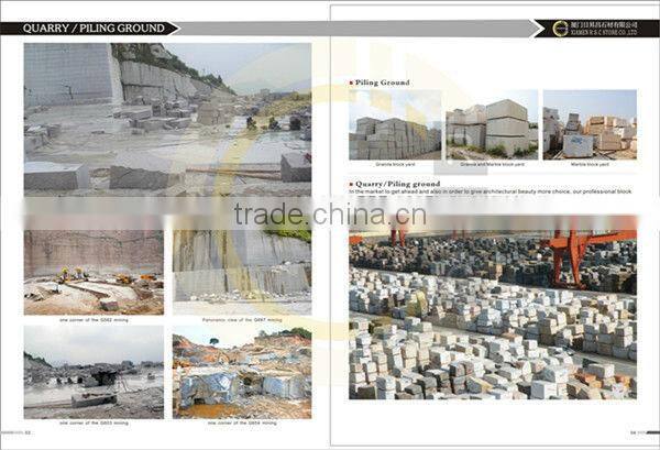 Star galaxy granite countertop of good price