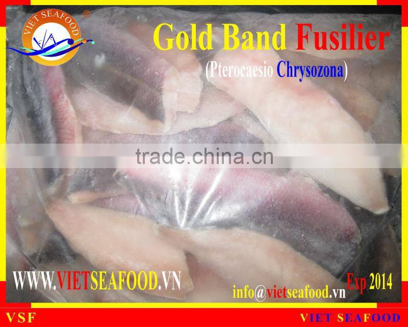 FROZEN GOLD BAND FUSILIER FILLET