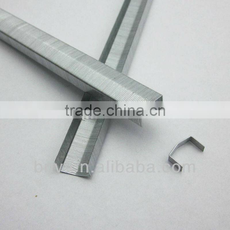 Silver color galvanized powercrown 1/4 inch B8 staples
