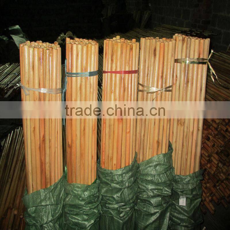 Varnished wooden mop stick