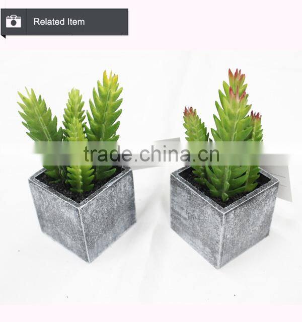 Artificial mini aloe little plants succulents plants artificial mini succulents