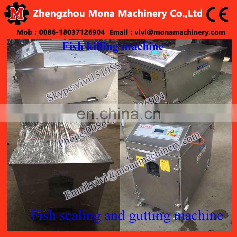 automatic small fish cleaning machine|anchovy fish killer machine|Tilapia gutting machine