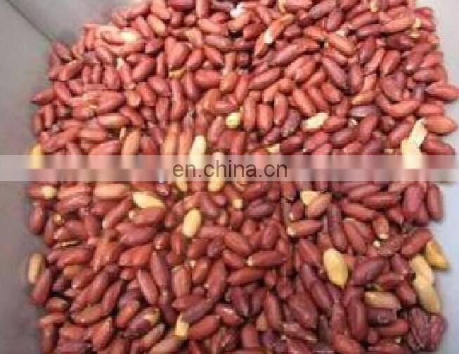 industrial electric peanut roaster gas heating nut groundnut roasting machine 200kg/h