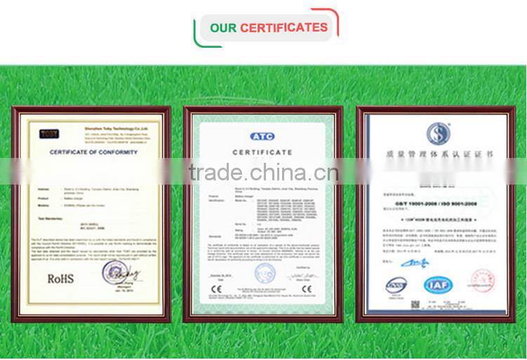 Lifepo4 Battery Charger for E-Boat