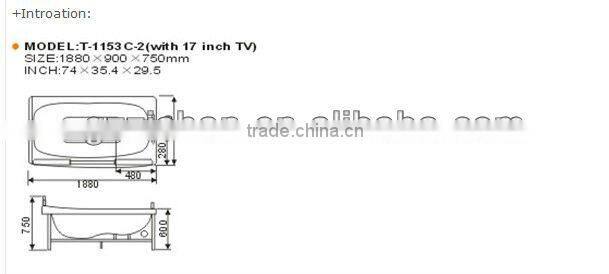 portable bathtub with 17'' TV