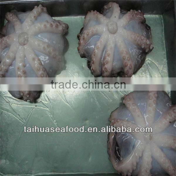 frozen and fresh octopus