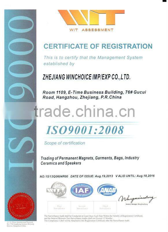 Large Isotropic Ferrite motor magnet