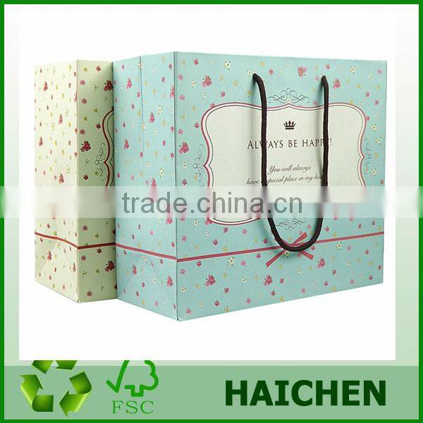 2013 shopping paper bag/kraft paper bag
