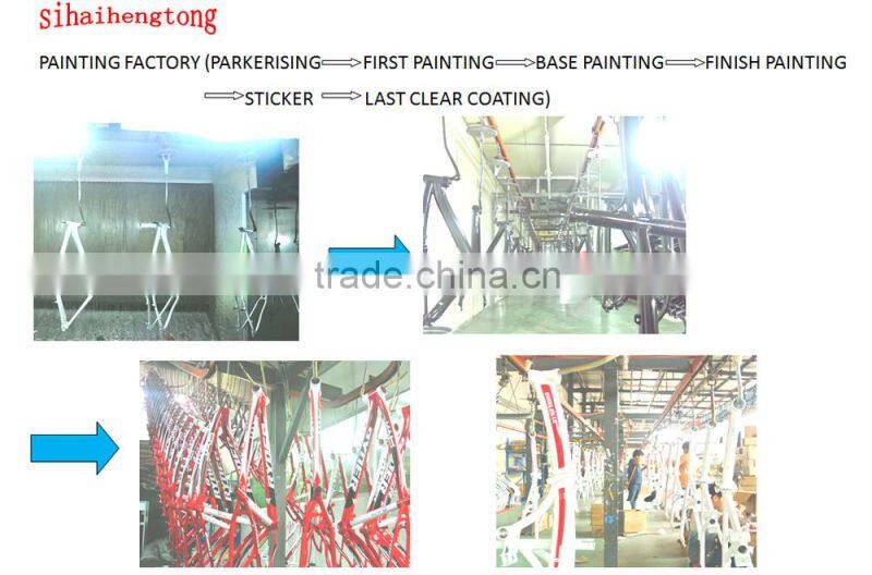 12" mini folding bike/pocket bike for lady from China