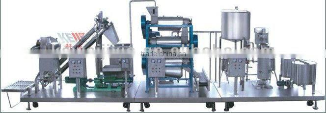 2 tons per hour carrot juicer machine