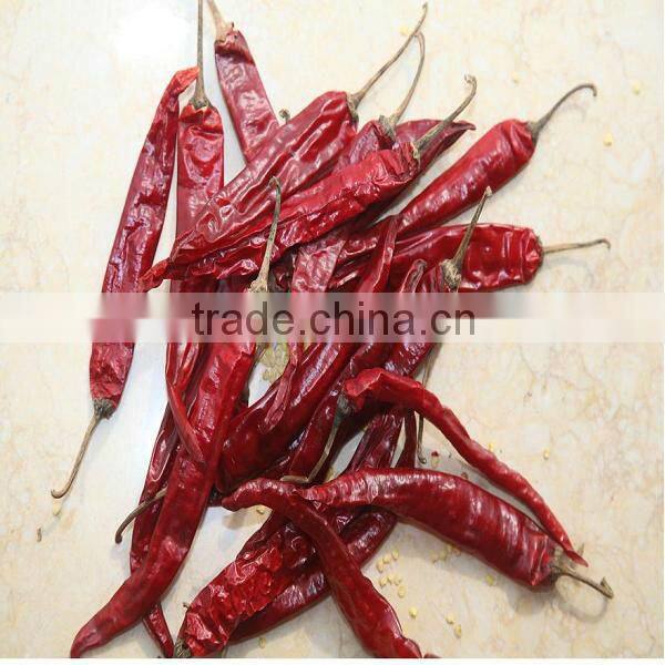 2012 new crop yidu red chili