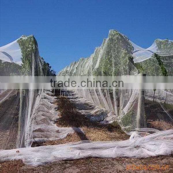 China factory wholesale plastic anti hail net, Anti-hail Net,hail net for fruit tree