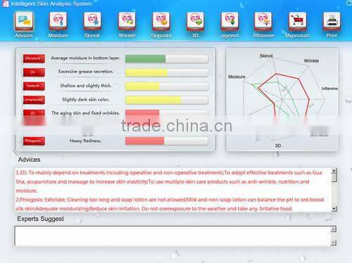 Professional skin analyzer portable skin analyzer with CE