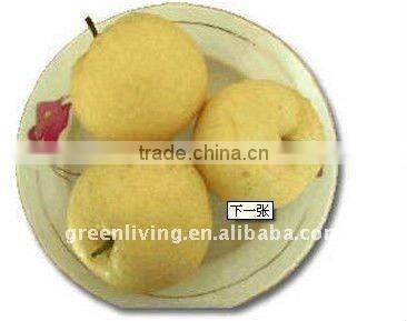 fresh pear,snow pear, golden pear