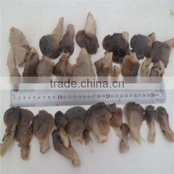 Pleurotus Mushrooms brine oyster mushroom king oyster mushroom