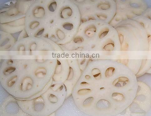 automatic fresh potato slicer cutter machine/root vegetable slicing machine/potato chips machine cutting machine