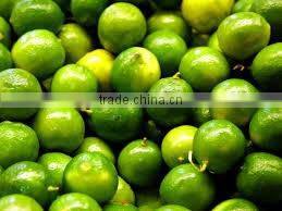 Lime Oil Essential Oils.