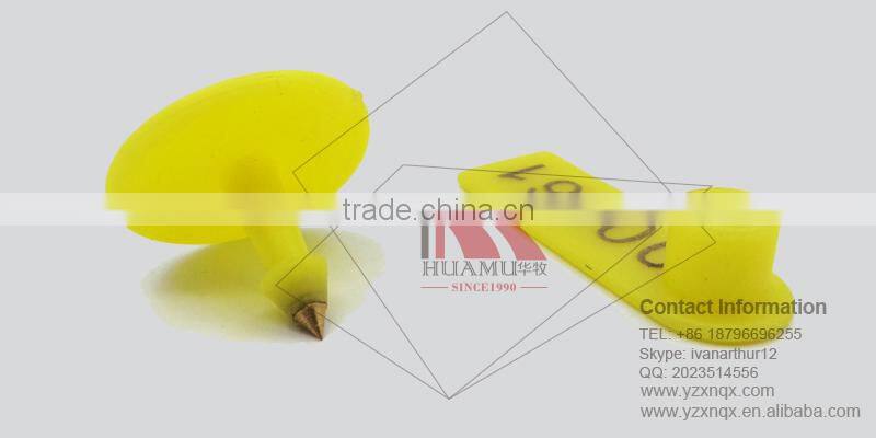 ear tag for goat with metal pin and TPU in yellow 50*16 mm