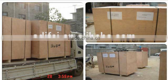 China Cheap cattle feed pelletizer machine