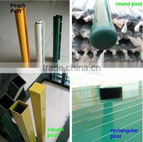 Get $1000 coupon powder coated double wire fence