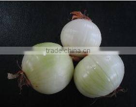 high quality onion cutting machine and frozing,Onion peeler,peeling machine