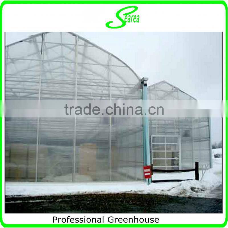 hot sale polucardonta greenhouse shade green house design