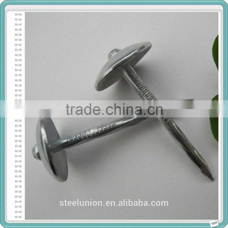 Building Material Dubai and Arabic BWG9 X 2.5" Galvanized Umbrella Roofing Nails