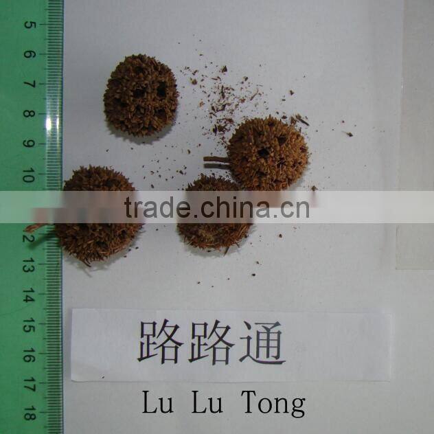 2016 new red ginseng slice