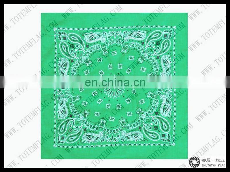 Black Head Bandana Skull