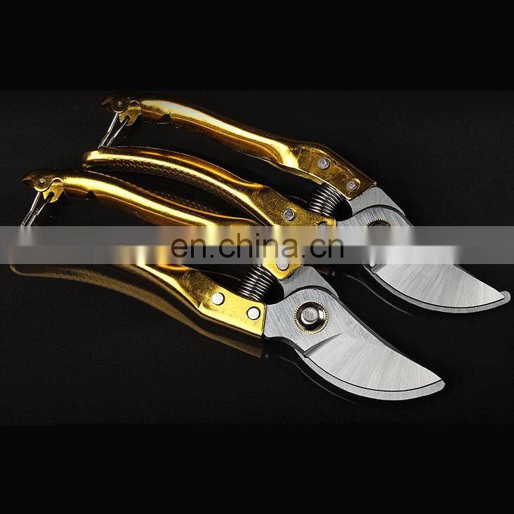 NEWMAN F1026 professional tools japanese garden grape grafting scissors titanium bypass pruning shears