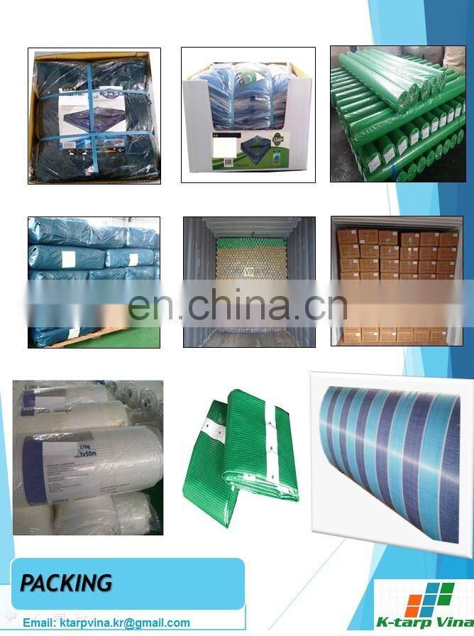 ECONOMY GREEN PE TARPAULIN, LIGHT DUTY TARP, 100 GSM  (ROLL TYPE)