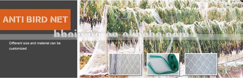 Monofilament PE anti bird net for catching bird