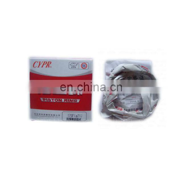 HOT SALE diesel engine spare parts Piston Ring with CYPR brand