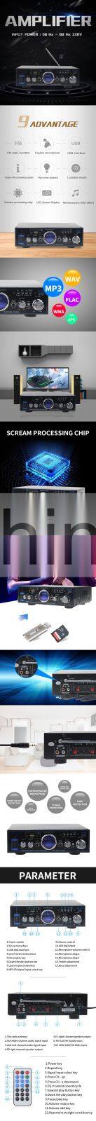 Hi-Fi Audio Mini Power Amplifier 12V-AC 220V HiFi Stereo Car Audio Amplifier